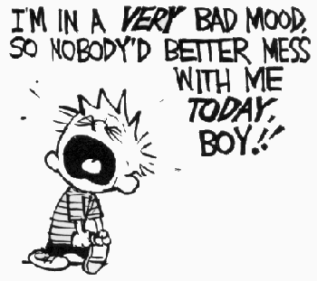 calvin_bad_mood_answer_1_xlarge